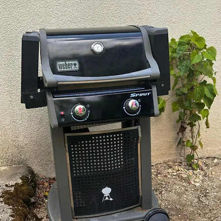 La Jonquille Baroville