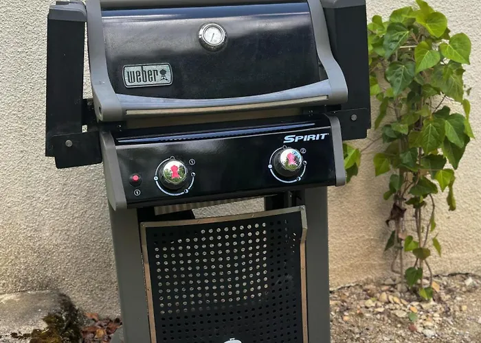 La Jonquille Baroville